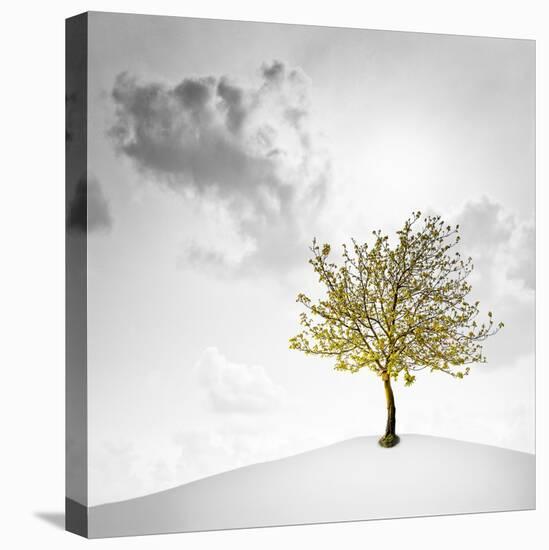 A Small Tree with Yellow Leaves on a White Background with Clouds-Luis Beltran-Premier Image Canvas