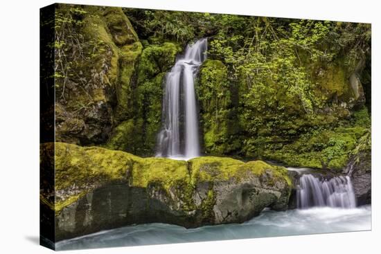 A small waterfall pours into the Ohanapecosh River, Washington.-Art Wolfe-Premier Image Canvas