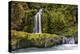 A small waterfall pours into the Ohanapecosh River, Washington.-Art Wolfe-Premier Image Canvas