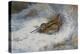 A Snipe in the Snow-Archibald Thorburn-Premier Image Canvas