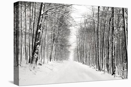 A Snowy Walk III-James McLoughlin-Premier Image Canvas