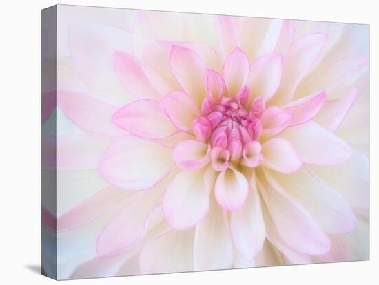 A soft touch of summer-Heidi Westum-Premier Image Canvas