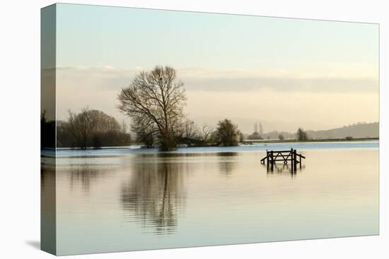 A Solitary Gate in Calm Flood-Waters in Farmland on West Sedgemoor, Near Stoke St Gregory-John Waters-Premier Image Canvas