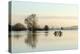 A Solitary Gate in Calm Flood-Waters in Farmland on West Sedgemoor, Near Stoke St Gregory-John Waters-Premier Image Canvas