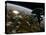 A Space Station Orbits a Terrestrial Planet That Has Been Hit by an Asteroid-Stocktrek Images-Premier Image Canvas