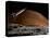A Spaceship in Orbit over Mars Moon, Phobos, with the Red Planet Mars in the Background-null-Premier Image Canvas