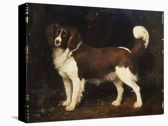 A Spaniel in a Landscape, 1784-George Stubbs-Premier Image Canvas