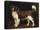 A Spaniel in a Landscape, 1784-George Stubbs-Premier Image Canvas