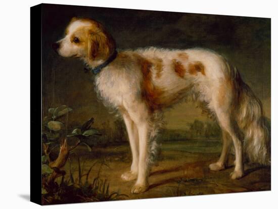 A Spaniel in a Landscape by Thomas Gainsborough-Thomas Gainsborough-Premier Image Canvas