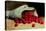 A Spilled Bag of Cherries-Antoine Vollon-Premier Image Canvas