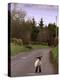 A Spring Lamb Walks in the Scenic Glens of Antrim in Cushendall, Northern Ireland-null-Premier Image Canvas