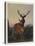 A Stag with Deer in a Wooded Landscape at Sunset, 1865-Charles Jones-Premier Image Canvas