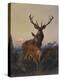 A Stag with Deer in a Wooded Landscape at Sunset-Carl Friedrich Deiker-Premier Image Canvas