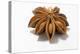 A Star Anise on White Background-Kröger and Gross-Premier Image Canvas