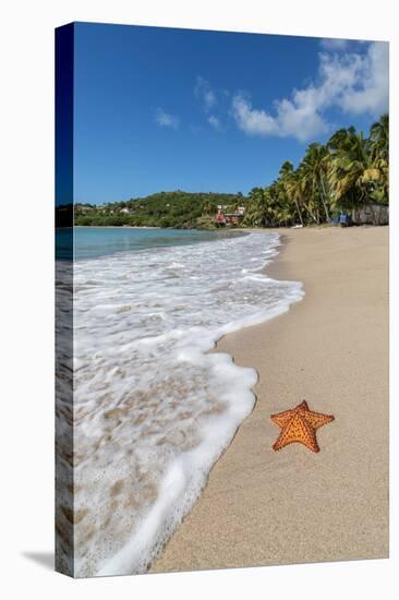 A Starfish Transported by Waves Lying Motionless on Carlisle Bay-Roberto Moiola-Premier Image Canvas