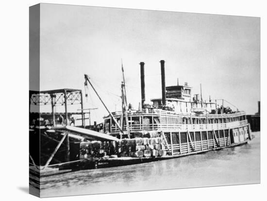 A Stern-Wheeler Loaded with Cotton Bales at New Orleans, C.1900 (B/W Photo)-American-Premier Image Canvas