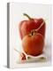 A Still Life Featuring a Red Pepper, a Tomato and a Red Chilli-Michael Wissing-Premier Image Canvas