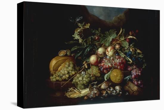 A Still Life of Fruit on a Ledge, probably 1667-Cornelis De Heem-Premier Image Canvas