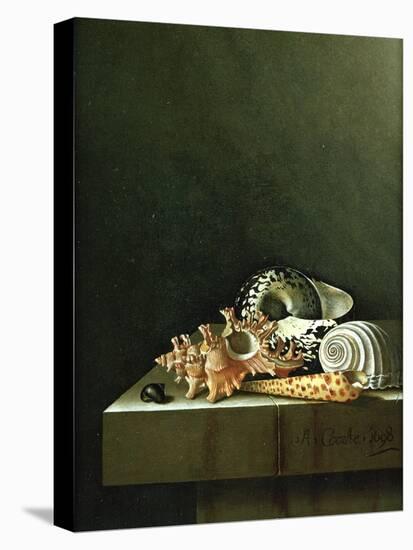 A Still Life of Shells, 1698-Adrian Coorte-Premier Image Canvas