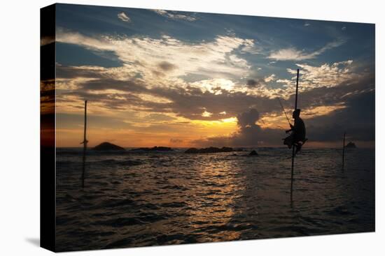 A Stilt Fisherman at Sunset-Alex Saberi-Premier Image Canvas