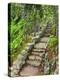 A Stone Staircase at the Thuya Gardens in Northeast Harbor, Maine, Usa-Jerry & Marcy Monkman-Premier Image Canvas