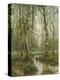 A Stream Running Through a Birch Wood-Semyon Fedorov-Premier Image Canvas