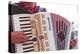 A Street Musician Plays the Accordion, Lyon, Rhone, Rhone-Alpes, France, Europe-Mark Sunderland-Premier Image Canvas