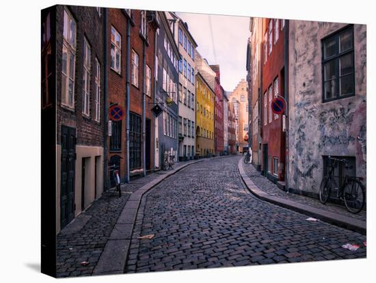 A Street Scene in Copenhagen, Denmark, Scandinavia, Europe-Jim Nix-Premier Image Canvas