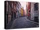 A Street Scene in Copenhagen, Denmark, Scandinavia, Europe-Jim Nix-Premier Image Canvas
