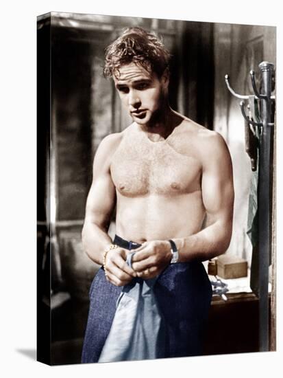 A Streetcar Named Desire, Marlon Brando, 1951-null-Stretched Canvas