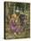 A Study for 'La Belle Dame Sans Merci', C.1893-John William Waterhouse-Premier Image Canvas