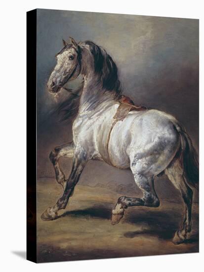 A Study of a Horse (Oil on Canvas)-Theodore Gericault-Premier Image Canvas