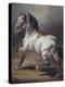 A Study of a Horse (Oil on Canvas)-Theodore Gericault-Premier Image Canvas