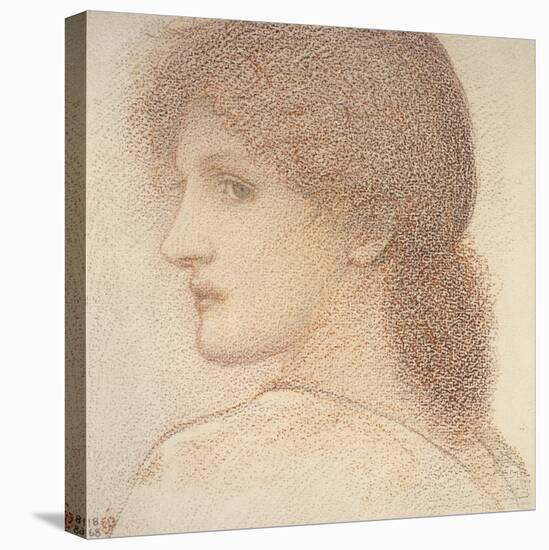 A Study of a Woman's Head, Turned to the Left, 1868 (Red Chalk on Paper)-Edward Burne-Jones-Premier Image Canvas