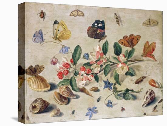 A Study of Flowers and Insects-Jan Van, The Elder Kessel-Premier Image Canvas