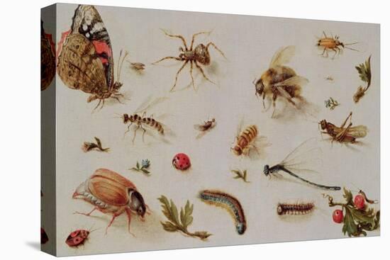 A Study of Insects-Jan Brueghel the Younger-Premier Image Canvas