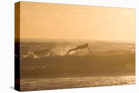 A Surfer Dives over a Wave on Praia Da Joaquina Beach on Florianopolis Island-Alex Saberi-Premier Image Canvas