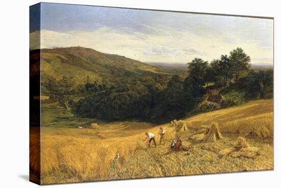 A Surrey Cornfield, 1860-George Vicat Cole-Premier Image Canvas