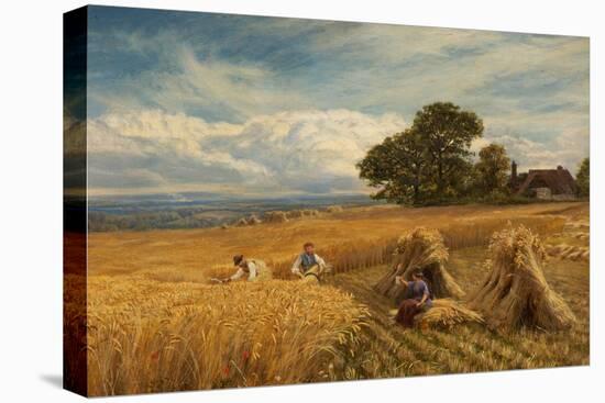 A Surrey Cornfield, 1864-George Vicat Cole-Premier Image Canvas