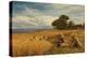 A Surrey Cornfield, 1864-George Vicat Cole-Premier Image Canvas