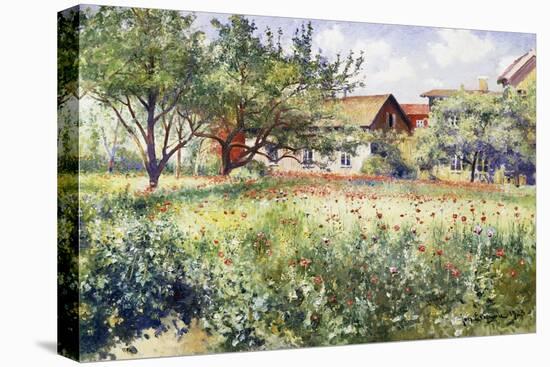 A Swedish Landscape with Poppies-Johan Erik Ericson-Premier Image Canvas