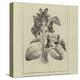 A Symbolical Bunch of Napoleonic Violets-null-Premier Image Canvas