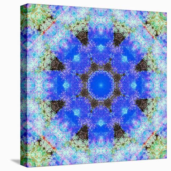A Symmetric Ornament from Flowers, Photograph, Layer Work-Alaya Gadeh-Premier Image Canvas