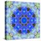 A Symmetric Ornament from Flowers, Photograph, Layer Work-Alaya Gadeh-Premier Image Canvas