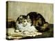 A Tabby Cat, 1920-Charles Van Den Eycken-Premier Image Canvas