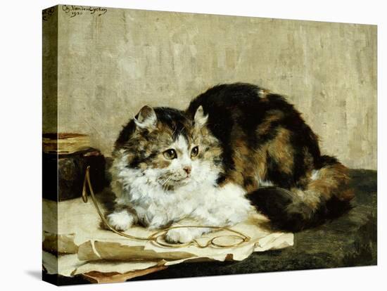 A Tabby Cat, 1920-Charles Van Den Eycken-Premier Image Canvas