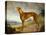 A Tan Greyhound Bitch in an Extensive River Landscape-F. H. Roscoe-Premier Image Canvas