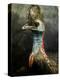 A Taxidermy Cassowary-Clive Nolan-Premier Image Canvas
