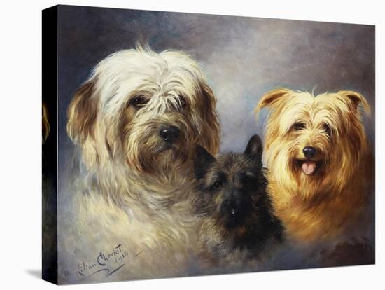 A Tibetan, a Cairn and a Silky Terrier-Lilian Cheviot-Premier Image Canvas