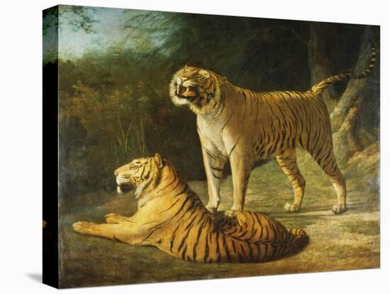 A Tiger and Tigress at the Exeter 'Change Menagerie in 1808, 1808-Jacques-Laurent Agasse-Premier Image Canvas